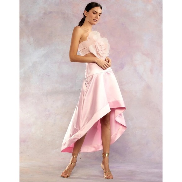 Cynthia Rowley Dresses & Skirts - Cynthia Rowley - Pink -Livia Satin Skirt
Size 0- brand new with Tags!!